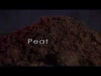 How was coal formed?