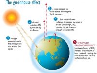 Diagram of the Greenhouse Effect