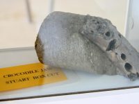 The Choc Chip Cookie Fossil Dig