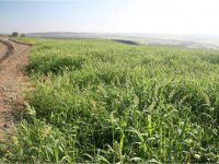 Rehabilitation of a mine site