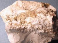 Magnesium Fast Facts