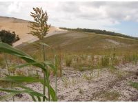 Uses of Mineral Sands PowerPoint