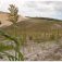 Uses of Mineral Sands PowerPoint