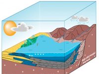 Formation of Oil Shale PowerPoint (QER)