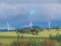 Windy Hill Wind Farm